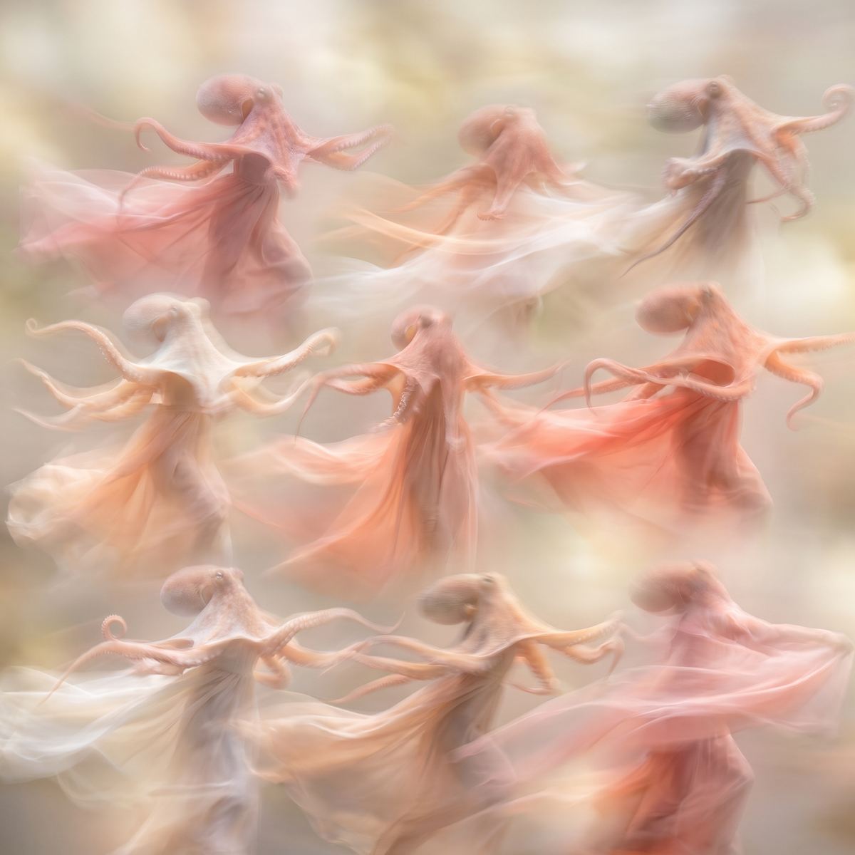 Surreal octopus dancers in flowing chiffon gowns, generated with Seedream 5 Pro